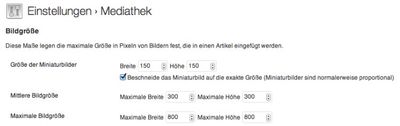 Screenshot der Mediathek Einstellungen – Bereich Bildgrösse